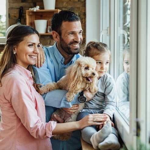 Ferestre de calitate